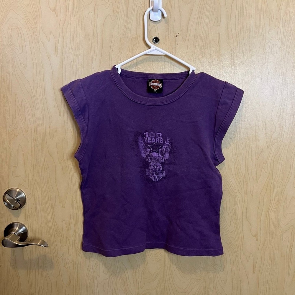 Harley Davidson 100 years shirt